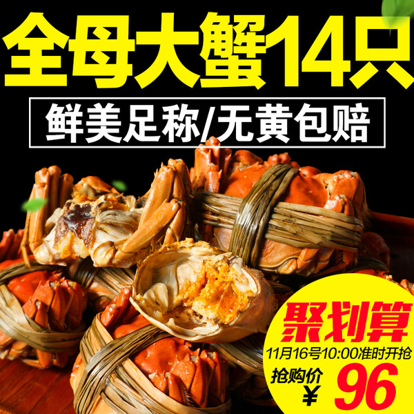 苏津 阳澄湖大闸蟹 全母14只 1.5~1.9两 聚划算+优惠券折后￥76包邮（￥96-20）