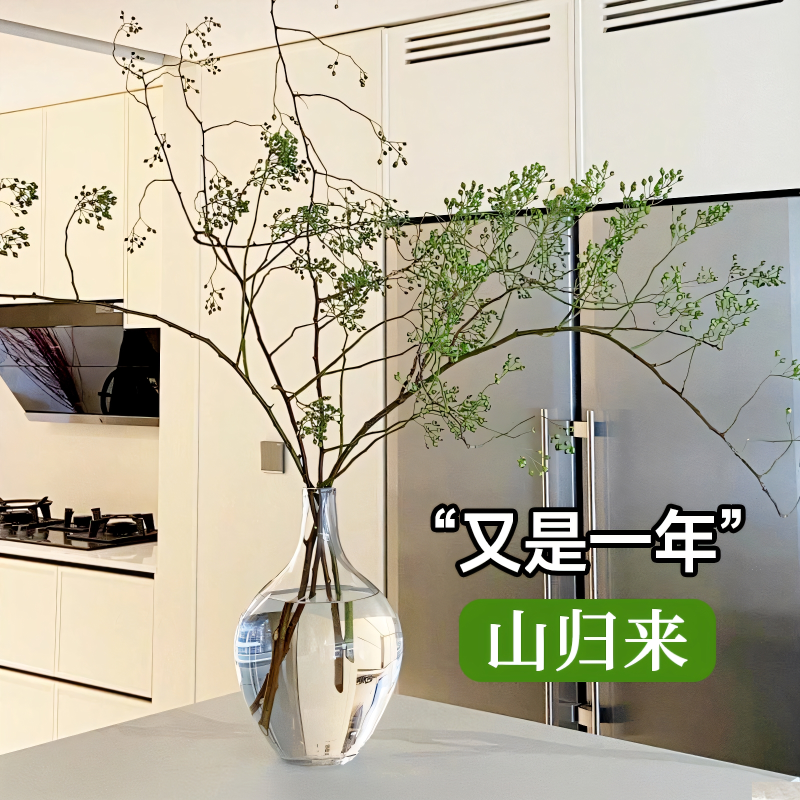 有氛围感鲜切绿植龙湖山归来