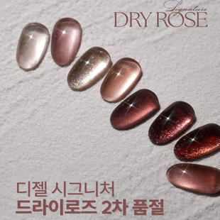 新色 DRY ROSE 韩国DGEL 套系 秋季 干枯玫瑰 高端甲油胶 2025
