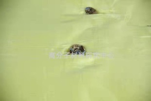 防弹厂家定做芳纶PE内胆防刺防爆防护腰插板护胸防扎凯夫拉内衬