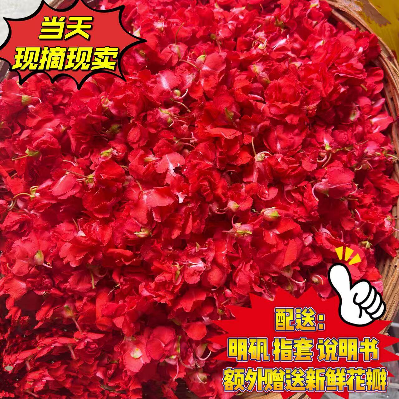 现摘白色凤仙花指甲草花染指甲花红凤仙花鲜花瓣泡醋