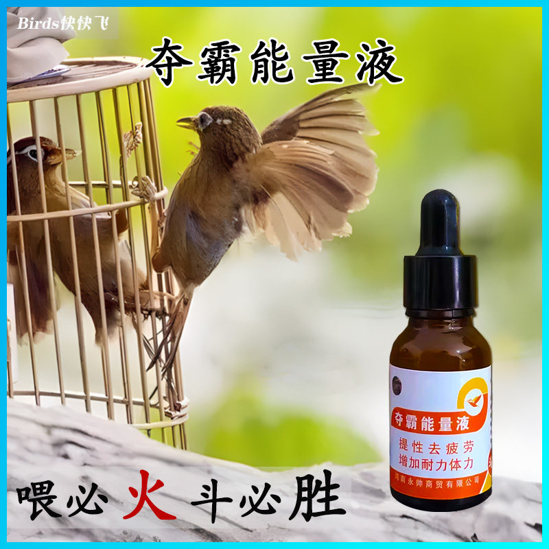 画眉鸟斗鸡抗打药提高鸟性生鸟提兴斗鸟比赛药耐力药打彩药训练药
