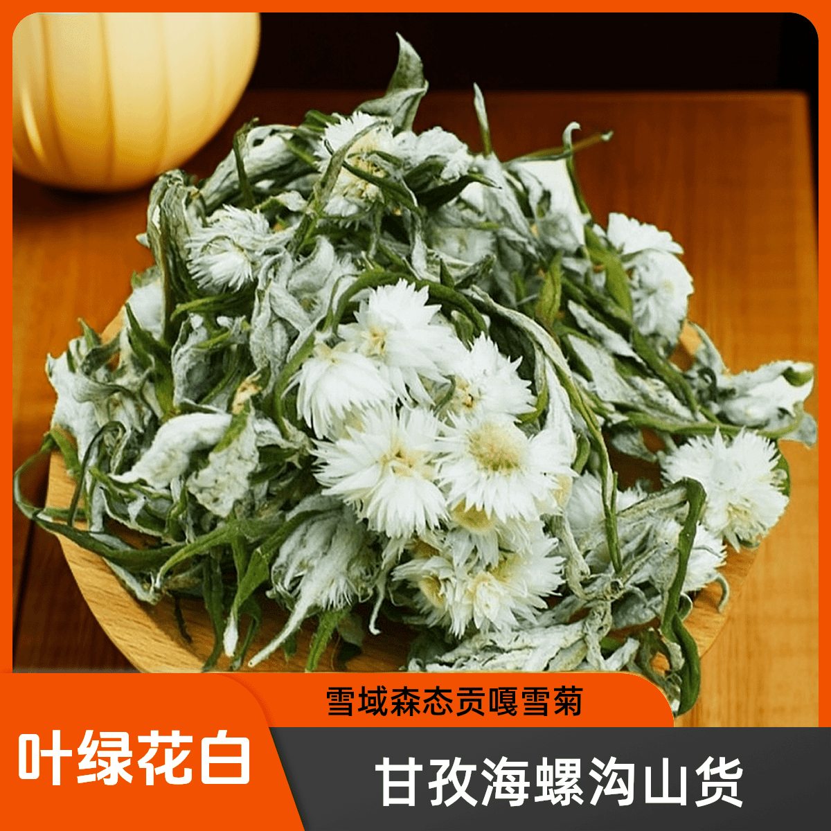 甘孜山货海螺沟贡嘎雪菊高原野生菊花见开水成花骨朵一罐顺丰包邮