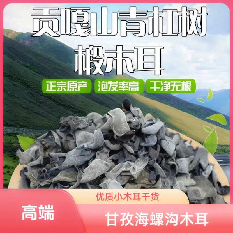 小木耳高原野生优质新品小木耳