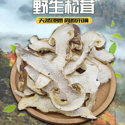 甘孜山货高原特产野生松茸干货2025新货炖鸡煲汤食材100g包邮