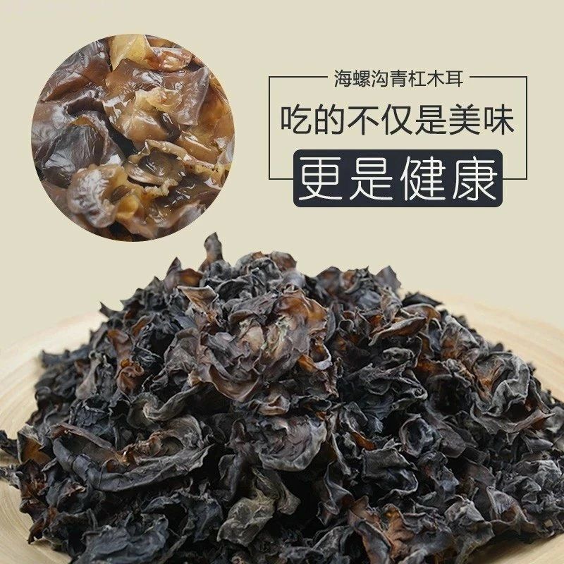 海螺沟雪域森态天然无污染正宗野生青杠树黑木耳买500g送冰川雪菊