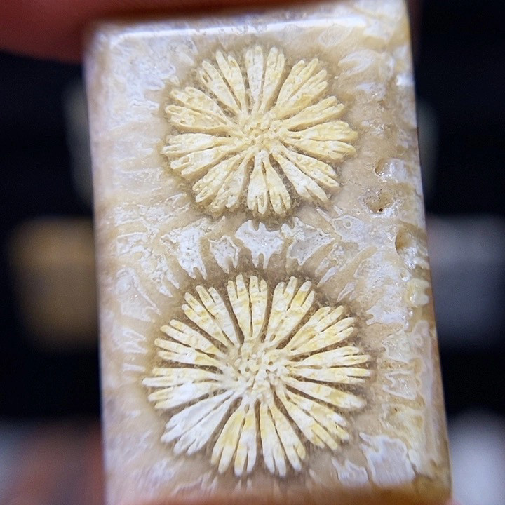 新款手工高冰龙骨印尼天然珊瑚玉颈饰