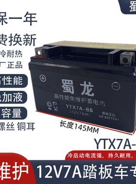 12V7A免维护踏板女士干电瓶