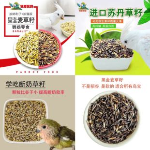 鹦鹉天然苏丹草籽麦草籽白玉麦黑金麦零食高蛋白玄凤虎皮牡丹小太