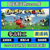 steam正版 CDK激活入库国区全球区在线联机中文游戏 拳击特工激活码