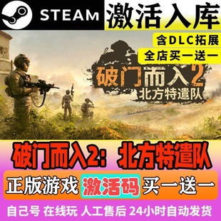 steam破门而入2北方特遣队激活码入库CDKKey全DLC电脑PC游戏独立