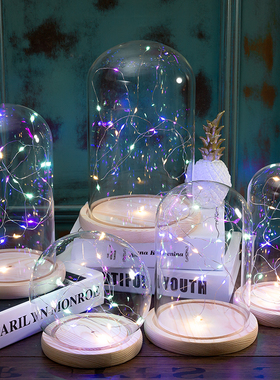 永生花带灯玻璃罩球形防尘罩展示盒火树银花小夜灯摆件工艺品