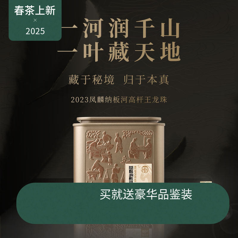 【新品】瑞聘号 凤麟纳版河高杆王龙珠 2023云南头春古树普洱生茶