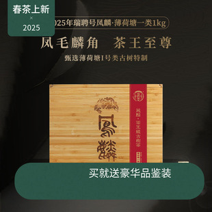 【2025春茶】瑞聘号 凤麟薄荷塘一类云南头春古树晒青毛茶生茶1kg