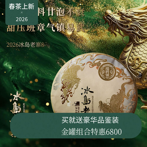 【2026春茶现货】瑞聘号 冰岛老寨8 2026云南头春古树普洱生茶