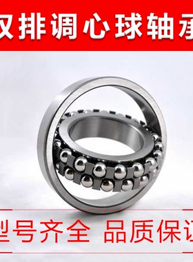 不锈钢轴承S2200 2201 2202 2203 2204 2205 2206 2207 2208 RS