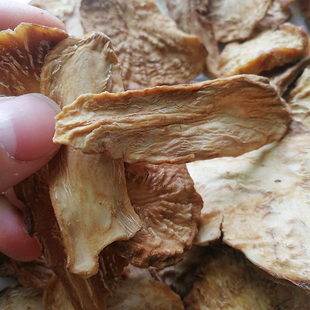 野生去皮肉苁蓉鲜干切片秋冬季煲汤泡茶养生泡酒材料搭锁阳淫羊藿