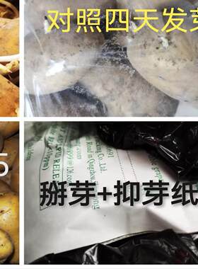 土豆抑芽纸防止变绿延长货架期贮藏期全年不发芽量大从优老店包邮