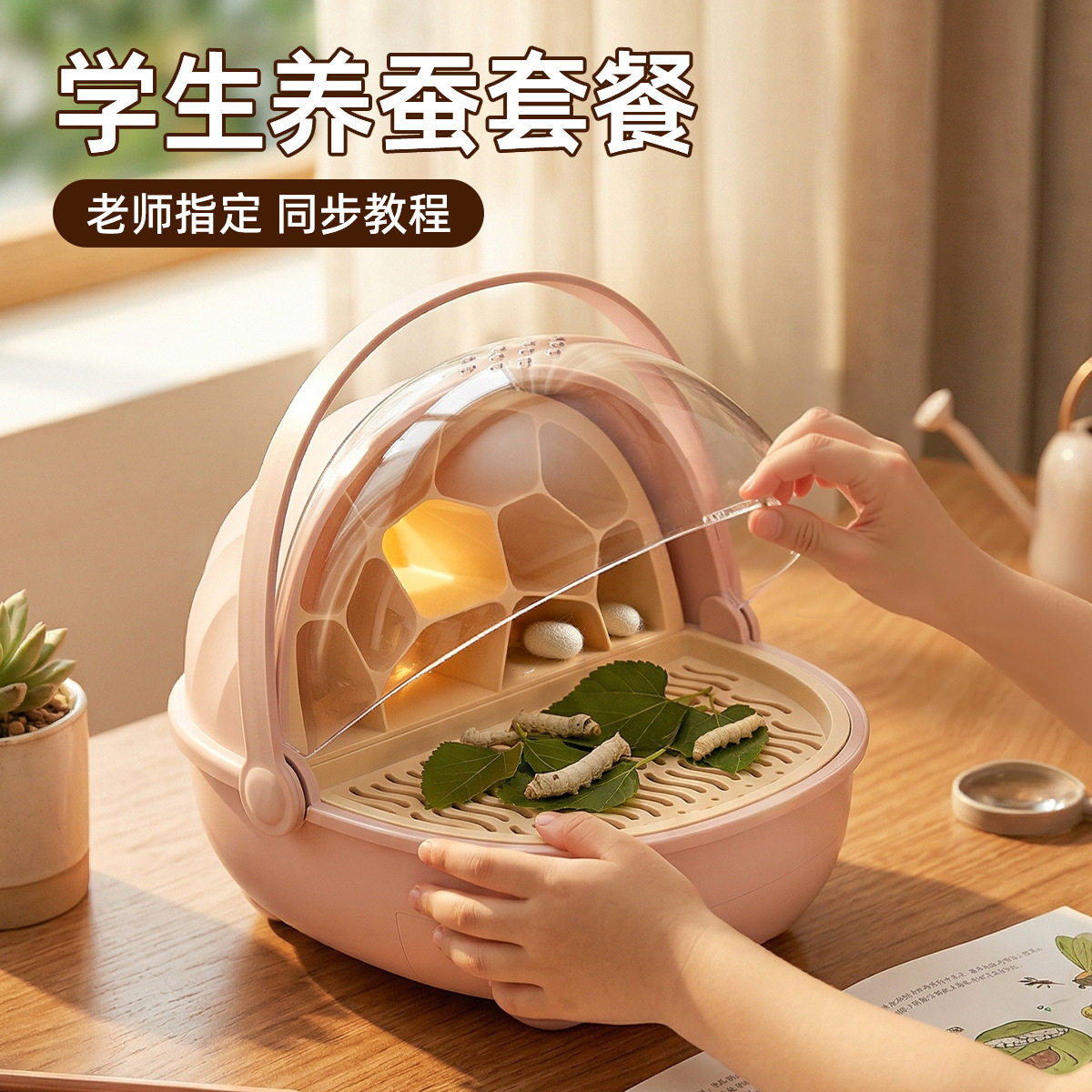 豪华蚕宝宝别墅观察饲养套装图片