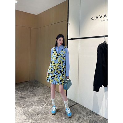 NancyCavally精致背心/连衣裙