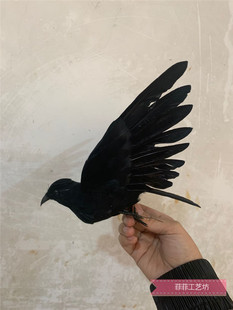 仿真羽毛乌鸦模型万圣节假鸟装饰影视摄影教学道具cos手偶摆件