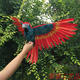 园林摆件 仿真彩色展翅鹦鹉 饰 鸟笼装 展翅鹦鹉 模现