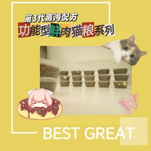 天然猫粮全猫犬猫狗粮十五楼的猫