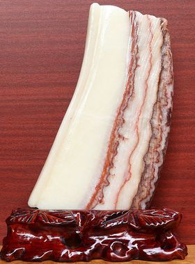 19*28*2cm1907g天然石材奇石摆件猪肉石五花肉桌面装饰雕刻石摆件