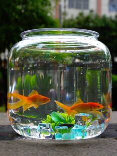 鱼缸客厅小型PC塑料透明非玻璃缸乌龟缸生态造景斗鱼缸超白金鱼缸