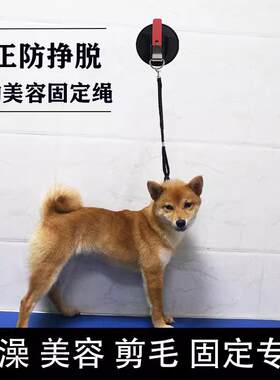狗狗洗澡固定绳牵引绳防跑绳子猫咪宠物用品剪毛吹干防挣脱狗链子