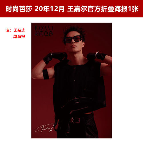 王嘉尔官方折叠海报1张