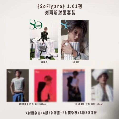 计入销量 精品 1月 刘雨昕官方版：A+B封面+2张A版海报+2张B版海报 SoFigaro精品购物指南杂志2026年1月 刘雨昕开年刊封面精品传媒
