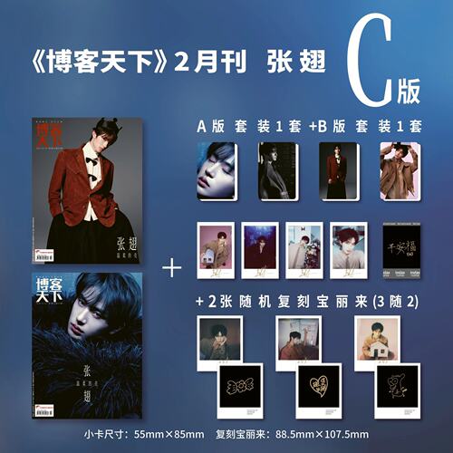 计入销量 博客天下 2月刊 张翅封面C版: A版+B版套装+2张复刻宝丽来 博客天下杂志2026年2月/二月刊 张翅 温柔的壳 官方套装