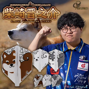 比赛飞镖翼柴崎晋之介定型飞镖尾翼飞镖叶 正品 COSMO FIT日本原装