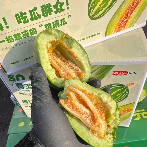 包邮东北 白富美青玉翠蜜瓜 爆脆超甜高端香瓜代表 整箱净4斤装