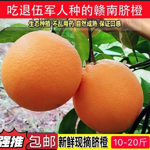 正宗新鲜水果当季现摘现发产地直发华农兄弟赣南脐橙孕妇水果江西