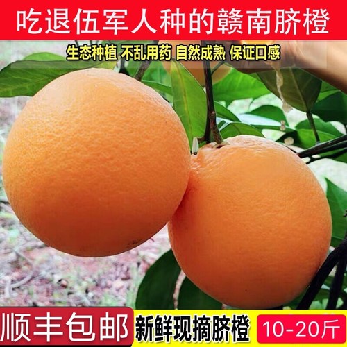 江西正宗赣南脐橙华农兄弟10斤20