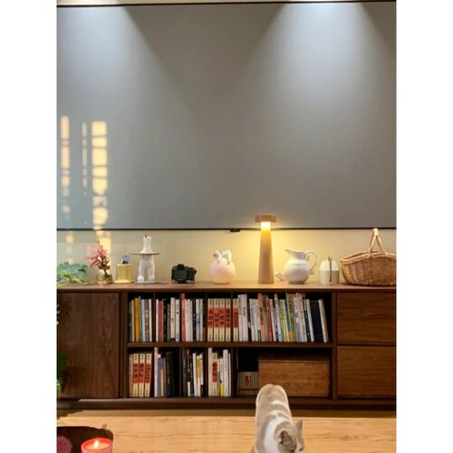 北欧简约电视柜储物柜现代简约多功能书柜黑胡桃木餐边柜储藏组合