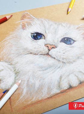 PASLER柏斯乐PG8803专业级白色高光铅笔美术素描提亮提光白色粉笔