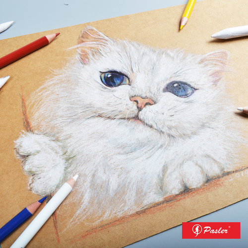 柏斯乐PG8803专业级白色高光铅笔