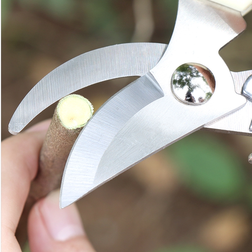 园艺剪园艺师专用修枝剪花艺剪刀剪树枝果树剪刀枝剪修剪花卉剪子