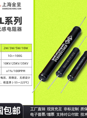 RI80黑色无感高压绝缘耐压检测校准标定电阻2W5W10W1M10M100M1G1%
