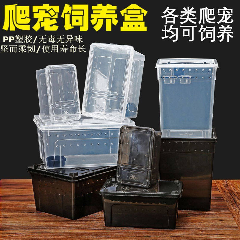 爬宠盒爬虫饲养盒守宫蚕宝宝蝎子爬宠缸/箱