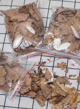 鼠妇马陆饲料枯叶落叶橡树墨鱼骨树皮西瓜虫主食潮虫高产补钙20克