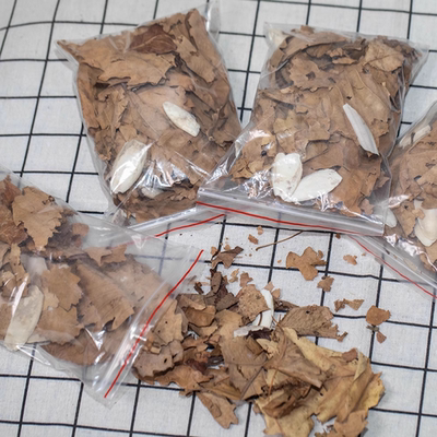 鼠妇马陆饲料枯叶落叶橡树墨鱼骨树皮西瓜虫主食潮虫高产补钙20克