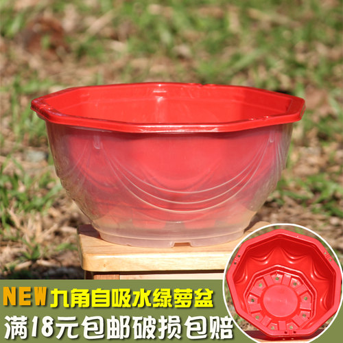 九角形绿萝花盆自吸水塑料懒人盆