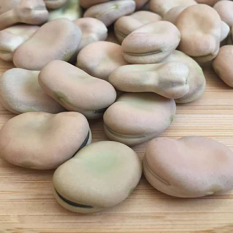 生干蚕豆散装精品生货