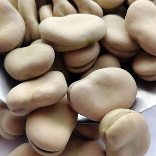 5斤精品新散装货中粒生干蚕豆特产胡豆生蚕豆农家佛豆生干货
