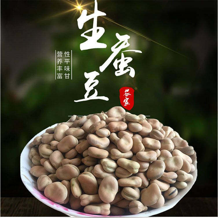 1-5斤精品新散装货大粒生干蚕豆特产胡豆生蚕豆农家佛豆生干货