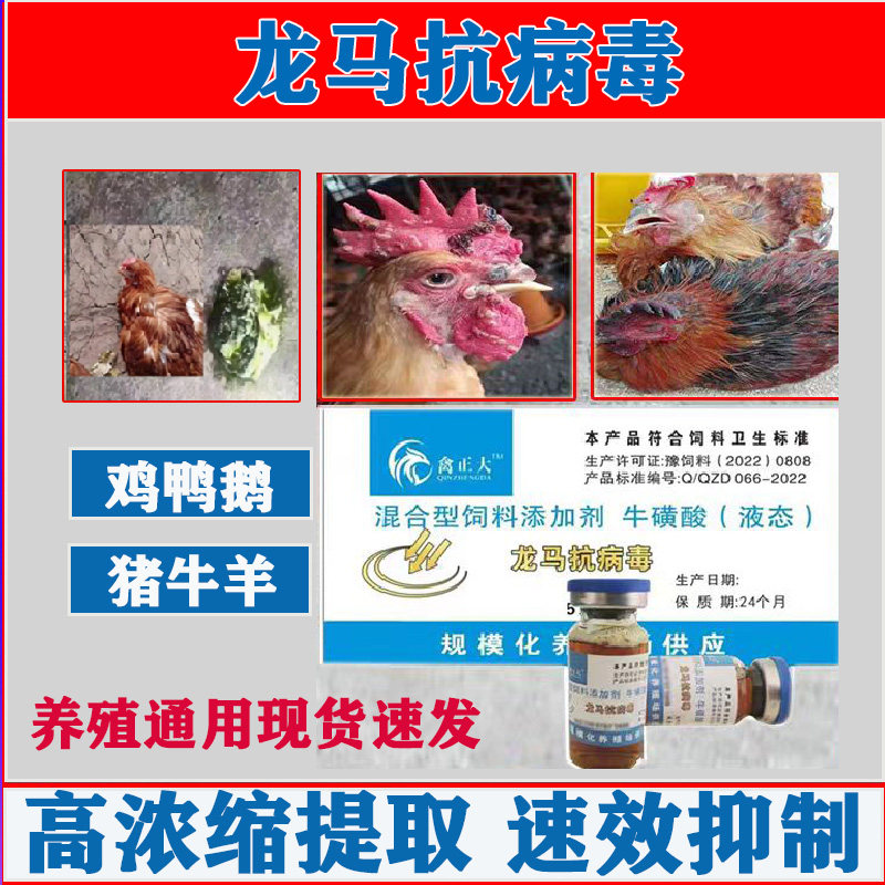 兽用禽药龙马抗病毒鸡药鸽子鸭鹅瞌睡没精神鸡扭脖子鸡冠发紫通用
